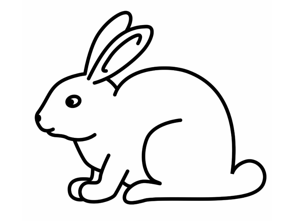 Bunny Cartoon Drawing at Explore