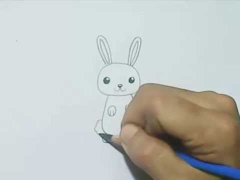480x360 Cartoon Rabbit Drawing - Bunny Cartoon Drawing