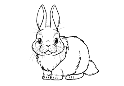 400x277 How To Draw A Cute Bunny Step - Bunny Drawing