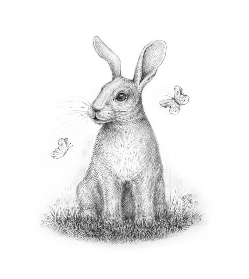 850x953 How To Draw A Rabbit Step - Bunny Drawing