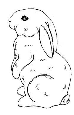 250x390 Rabbit Drawing Outline - Bunny Drawing