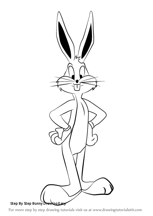 597x842 Step - Bunny Drawing