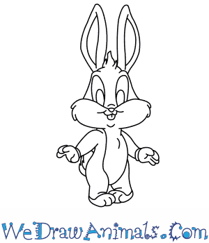 300x350 How To Draw Baby Bugs Bunny - Bunny Drawing Easy