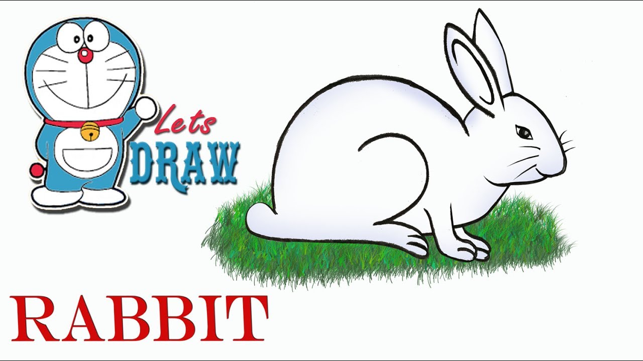 1280x720 How To Draw A Rabbit Step - Bunny Drawing Easy