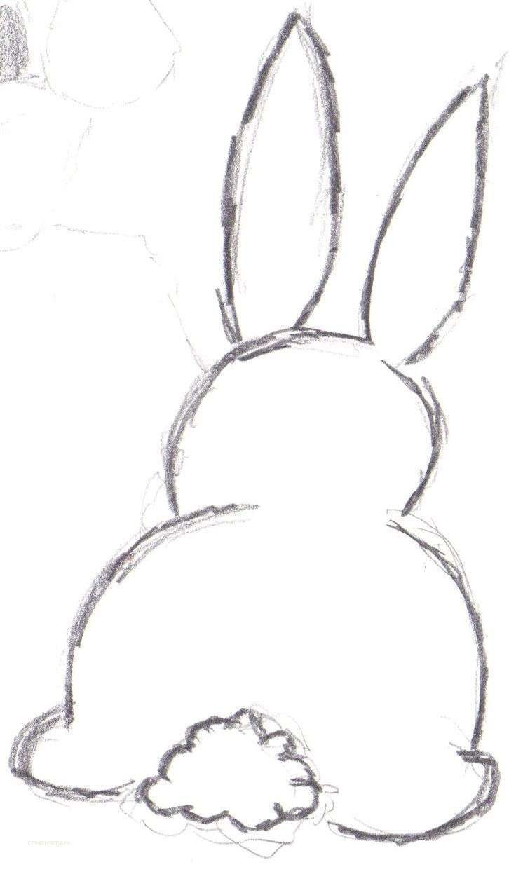 736x1247 Cute Bunny Drawing Unique Easy Easter With Example Pictures - Bunny Drawing Easy