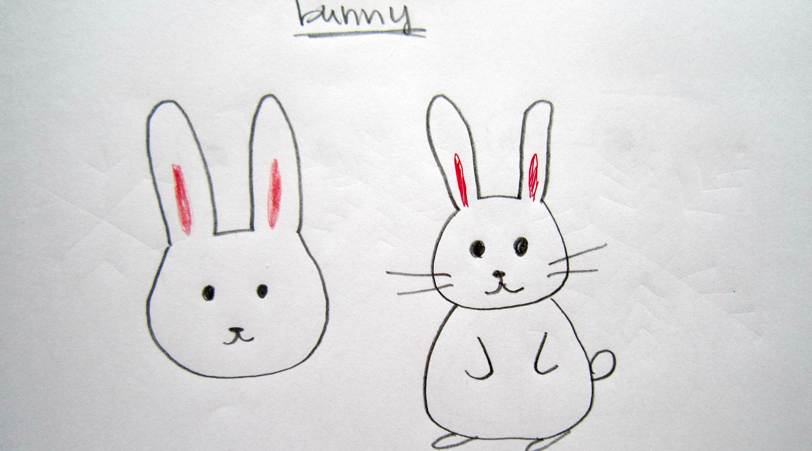 Easy Rabbit Drawing Romes Danapardaz Co