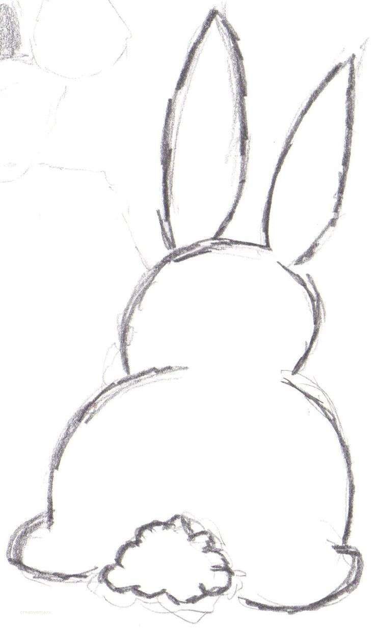 736x1247 Bunny Drawing Easy Unique Easter With Example Pictures Kids - Bunny Drawing For Kids