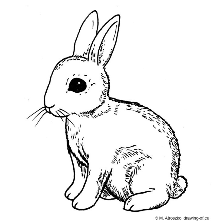 Bunny Drawing For Kids at PaintingValley.com | Explore collection of ...