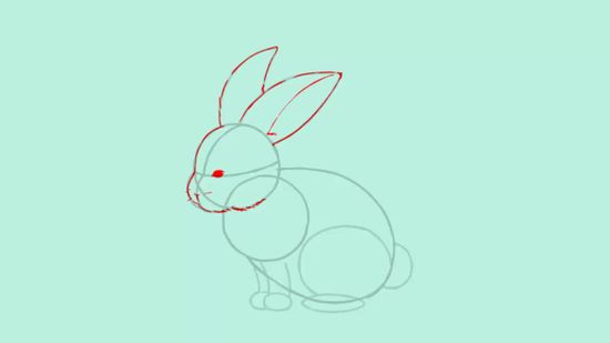 550x309 How To Draw A Bunny Steps - Bunny Drawing Images