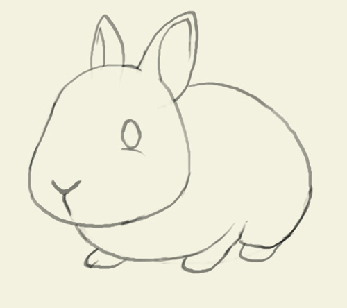 500x444 How To Draw Bunny - Bunny Drawing Images