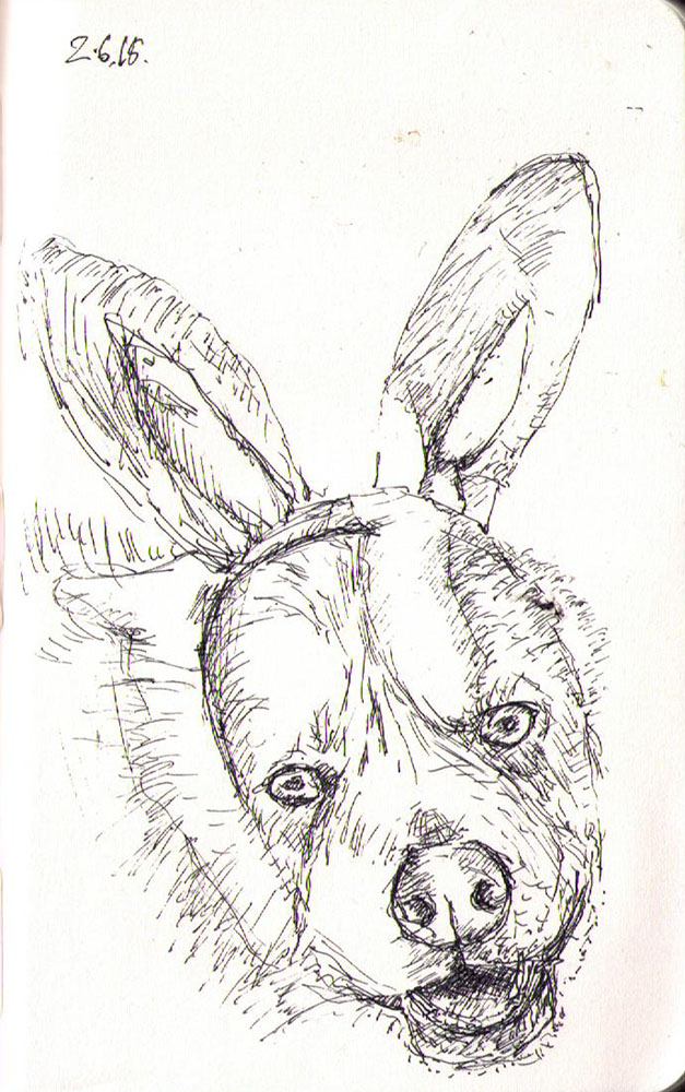 Bunny Ears Drawing