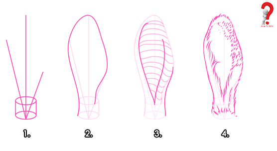 556x303 How To Draw Animal Ears Bunny, Dog, Wolf, Cat, Elephant, How - Bunny Ears Drawing