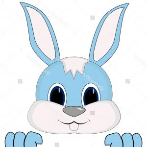 300x300 Inspiring Simple Bunny Face Drawing At Getdrawings For Personal - Bunny Face Drawing