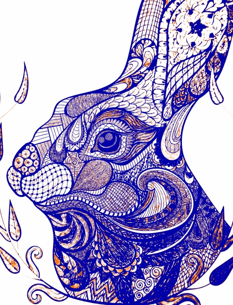 470x615 Bunny Face Drawing Free Stock Photo - Bunny Face Drawing