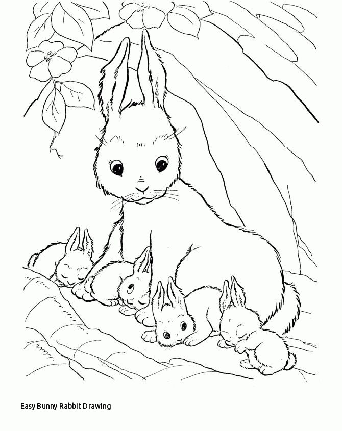670x845 Easy Bunny Rabbit Drawing Best Desenhos Images - Bunny Nose Drawing