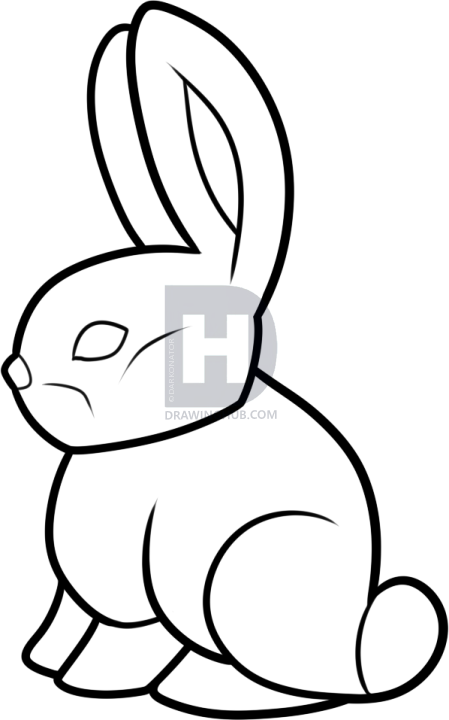449x720 How To Draw A Chocolate Bunny, Step - Bunny Nose Drawing