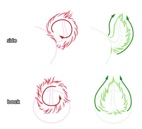 600x543 How To Draw Animals Hares And Rabbits - Bunny Nose Drawing