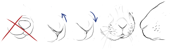 600x172 Leporidae How To Draw A Bunny - Bunny Nose Drawing