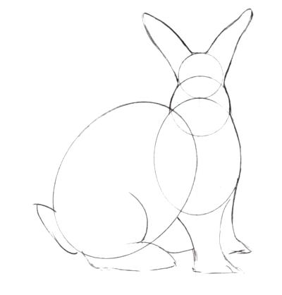 400x418 bunny rabbit outline draw your bunny rabbits ears feet and tail - Bunny Outline Drawing