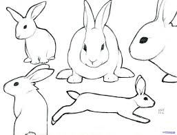 257x196 Image Result For Rabbit Outline Drawing Sewing Rabbit Drawing - Bunny Outline Drawing