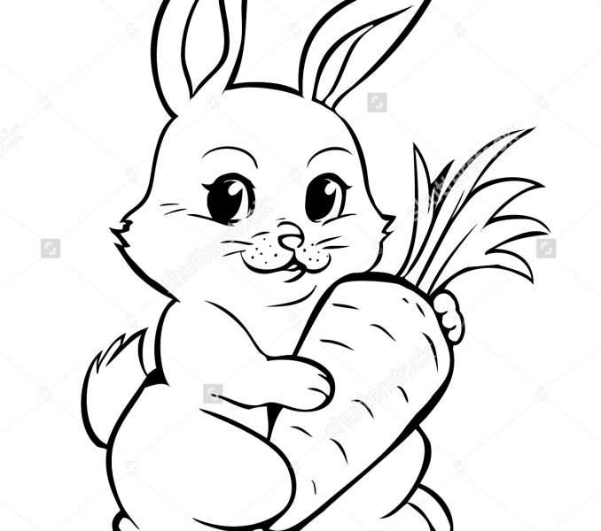 Bunny Outline Drawing at Explore collection of