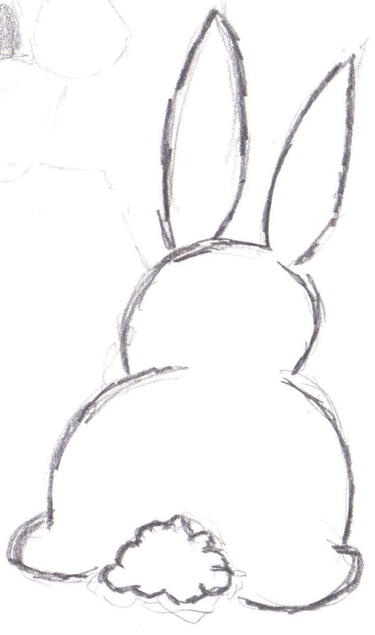 736x1247 bunny outline drawing my style drawings, bunny drawing - Bunny Outline Drawing