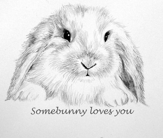 570x483 bunny note card pencil drawing some bunny loves you etsy - Bunny Pencil Drawing