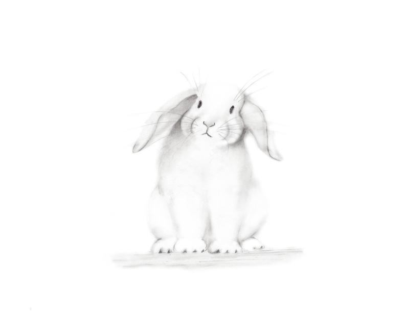 794x613 Bunny Nursery Art Pencil Drawing Animal Print Baby Animal Etsy - Bunny Pencil Drawing