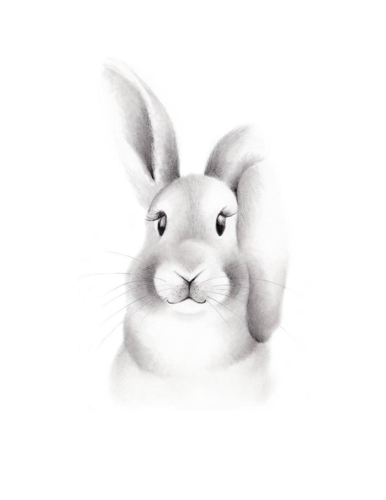 794x1028 Bunny Nursery Art Pencil Drawing Baby Animal Face Woodland Etsy - Bunny Pencil Drawing