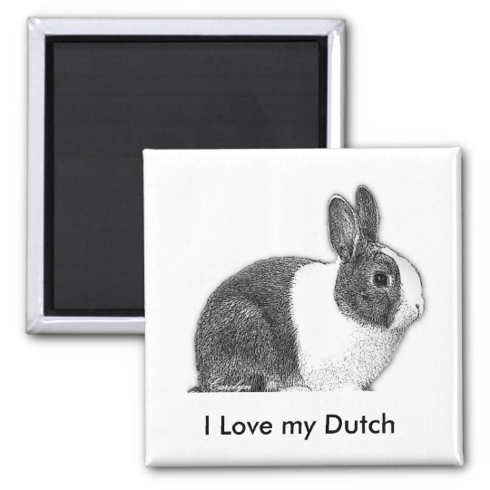 540x540 Dutch Bunny Pencil Drawing Magnet - Bunny Pencil Drawing