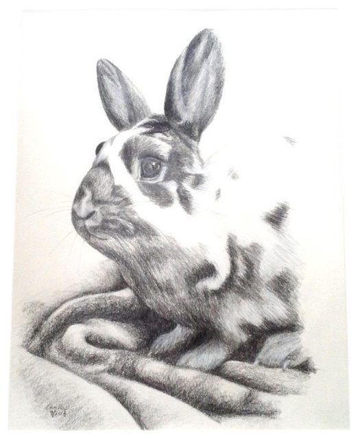 522x640 Pencil Drawing Of A Bunny Rabbit, Original Drawing - Bunny Pencil Drawing
