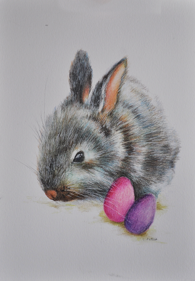 680x979 S Peters Art Original Colored Pencil Drawing Easter Bunny - Bunny Pencil Drawing