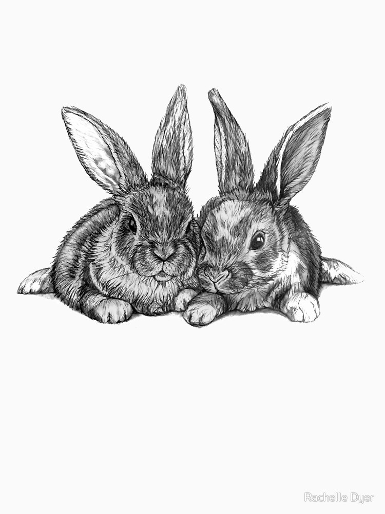 Bunny Pencil Drawing at PaintingValley.com | Explore collection of ...