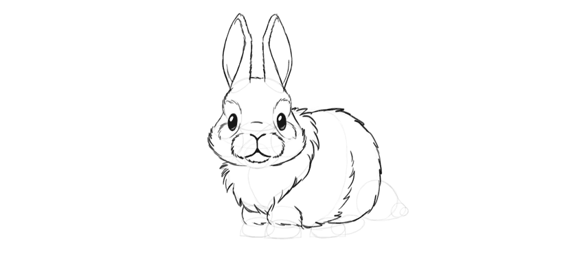 850x375 How To Draw A Cute Bunny Step - Bunny Rabbit Drawing