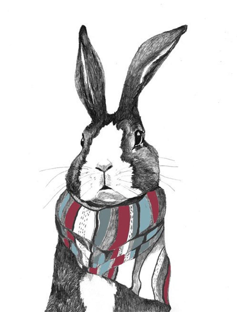 794x1046 rabbit art rabbit drawing bunny art bunny drawing etsy - Bunny Rabbit Drawing