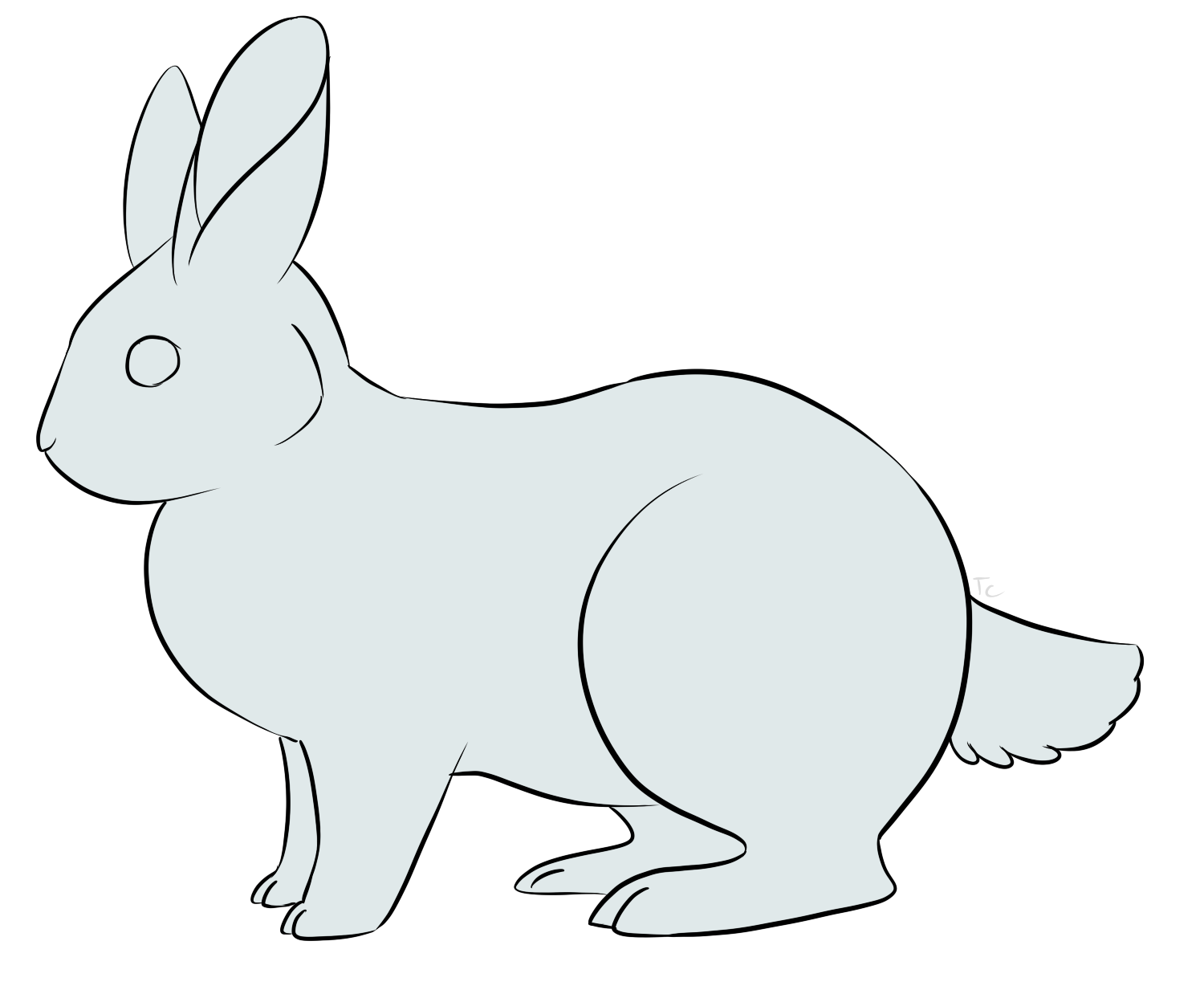 Кролик референс для рисования