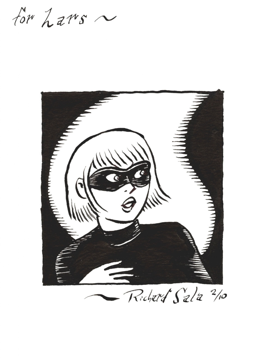 908x1250 cat burglar black specialty drawing, in lars teglbjaerg's sala - Burglar Drawing