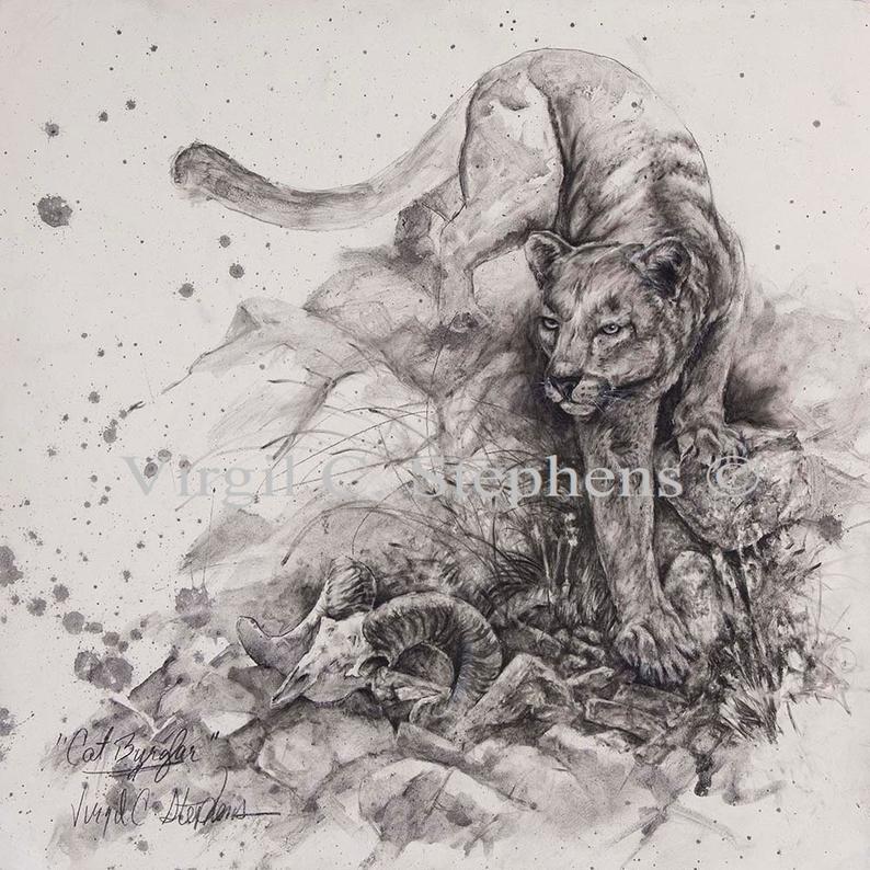 794x794 mountain lion entitled cat burglar drawing of a mountain lion etsy - Burglar Drawing