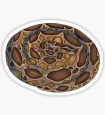 210x230 Burmese Python Drawing Gifts Merchandise Redbubble - Burmese Python Drawing