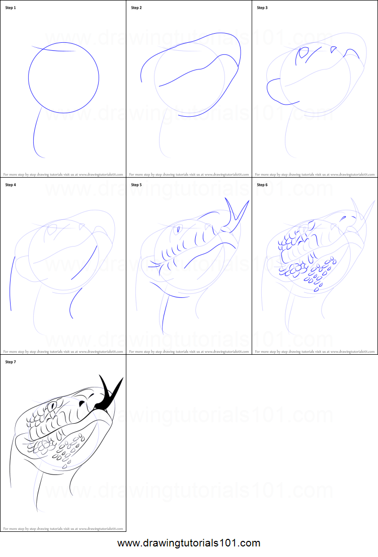 Burmese Python Drawing at PaintingValley.com | Explore collection of ...