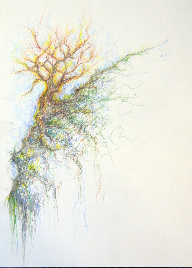 645x900 burning bush drawing - Burning Bush Drawing