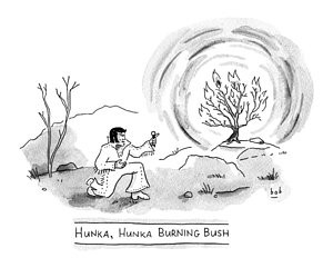 300x241 burning bush drawings fine art america - Burning Bush Drawing