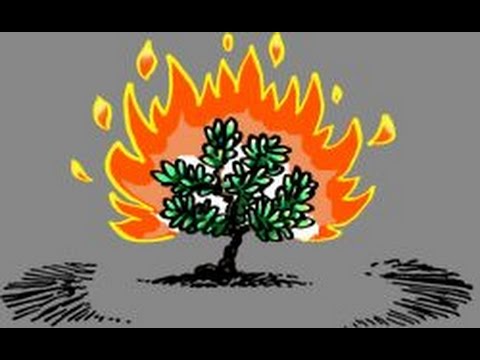 480x360 the angel appears to moses in a burning bush craft - Burning Bush Drawing