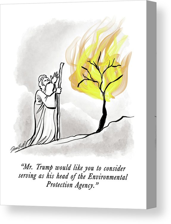 575x750 the burning bush canvas print canvas art - Burning Bush Drawing