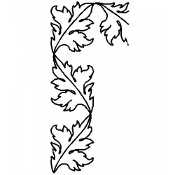 250x250 burning bush border - Burning Bush Drawing