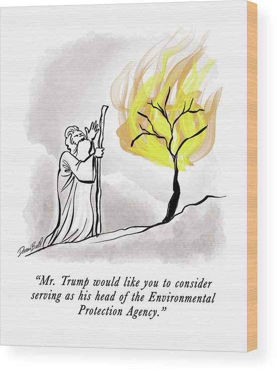 552x740 the burning bush wood print - Burning Bush Drawing