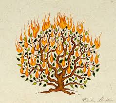238x212 burning bush archives - Burning Bush Drawing