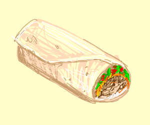 300x250 burrito or enchilada drawing - Burrito Drawing
