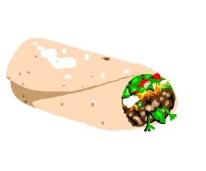 300x250 lizard stuck inside a burrito drawing - Burrito Drawing