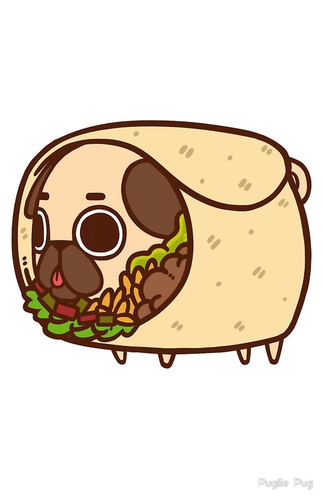 647x1000 puglie burrito - Burrito Drawing